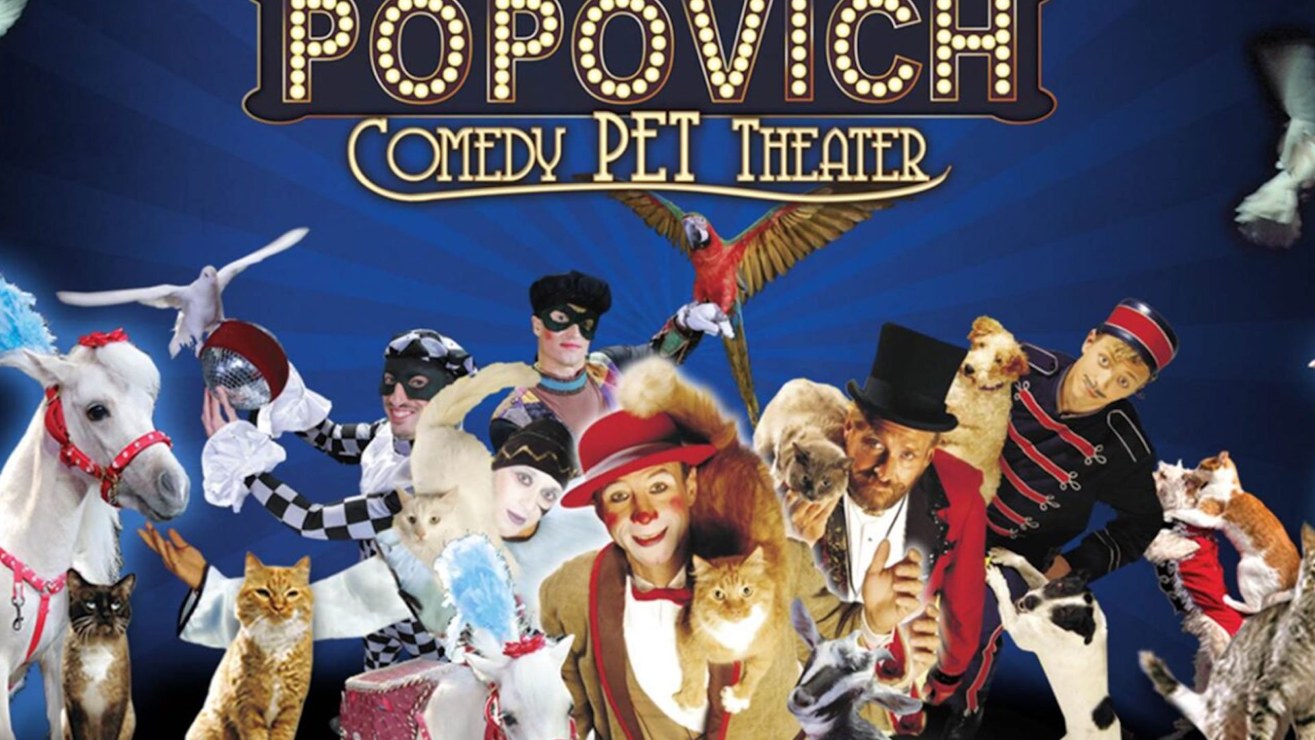 Popovich Comedy Pet