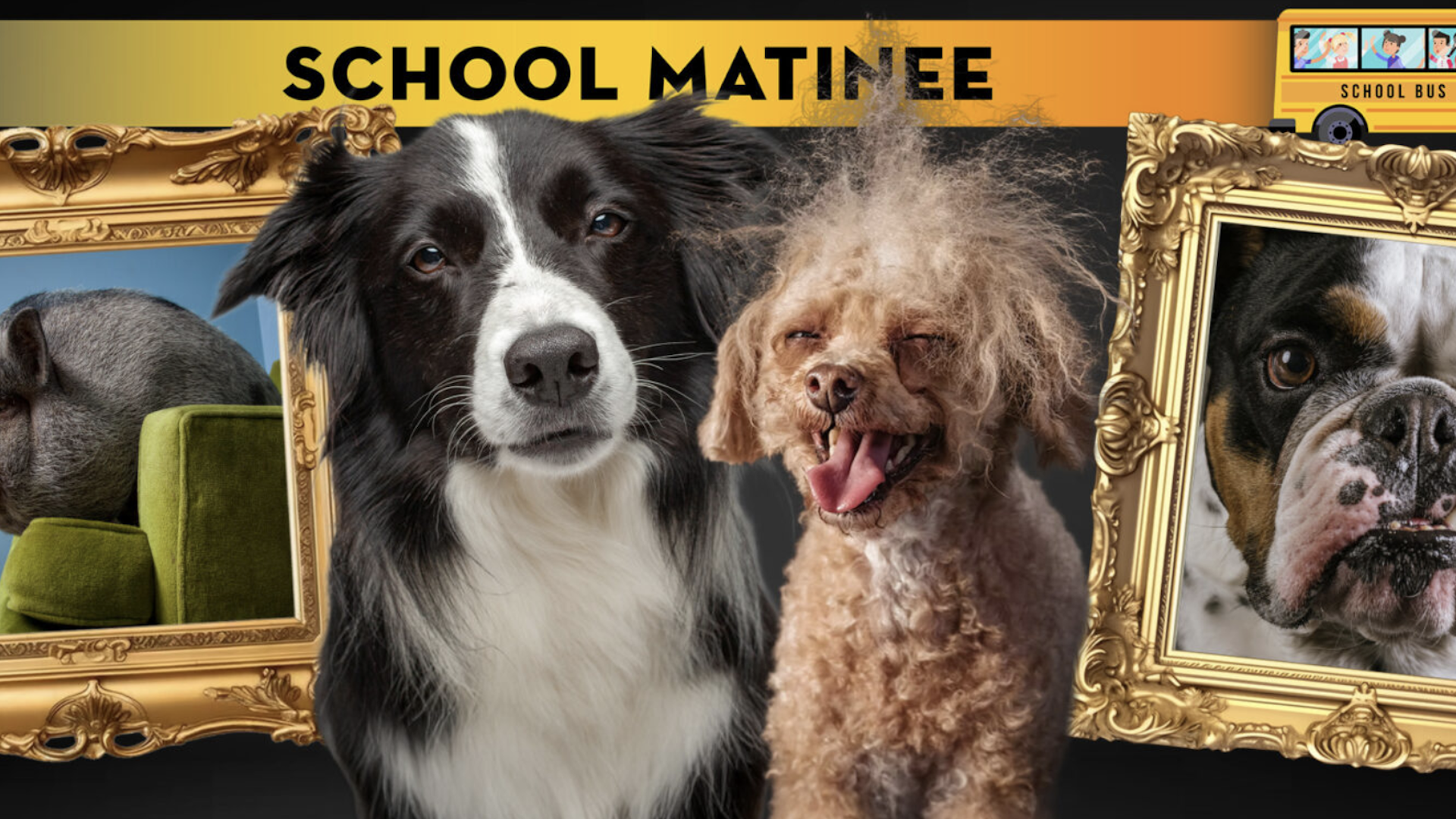 Screenshot 2026-02-17 at 6.12.32 PM