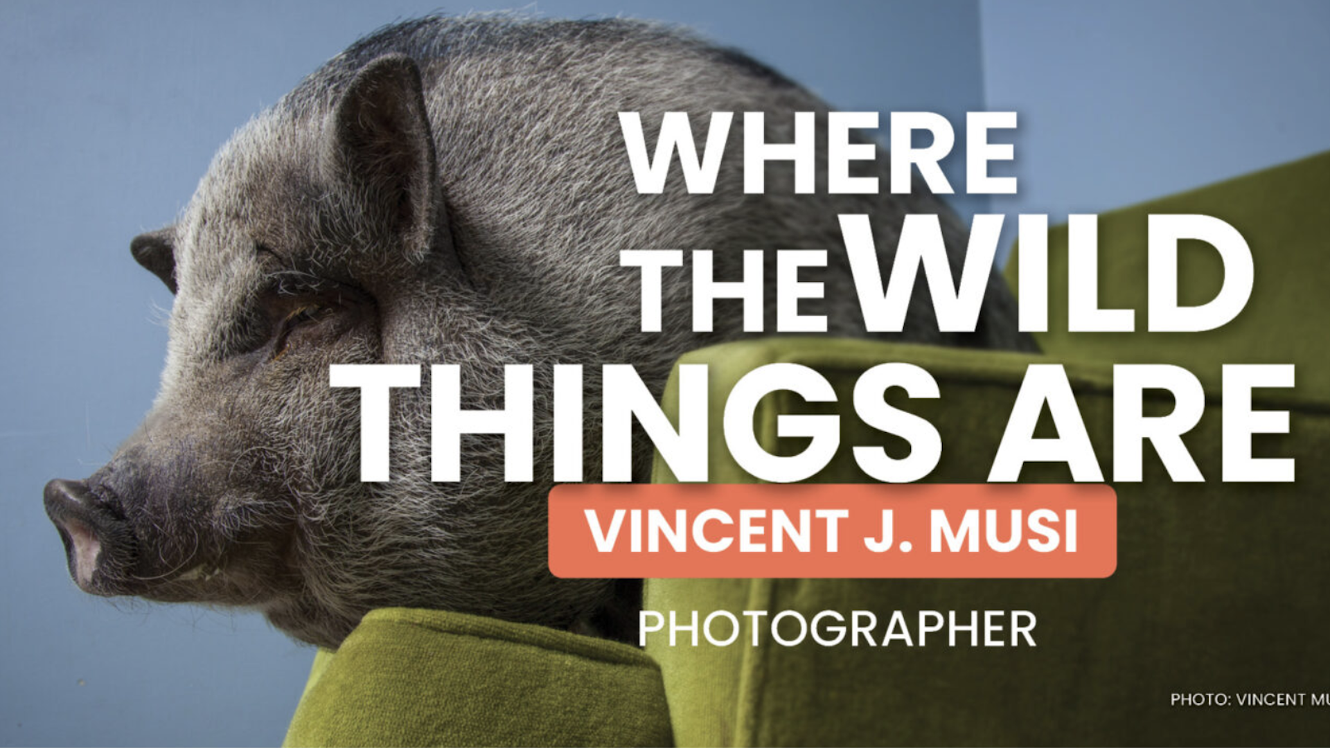 Screenshot 2026-02-17 at 6.23.21 PM