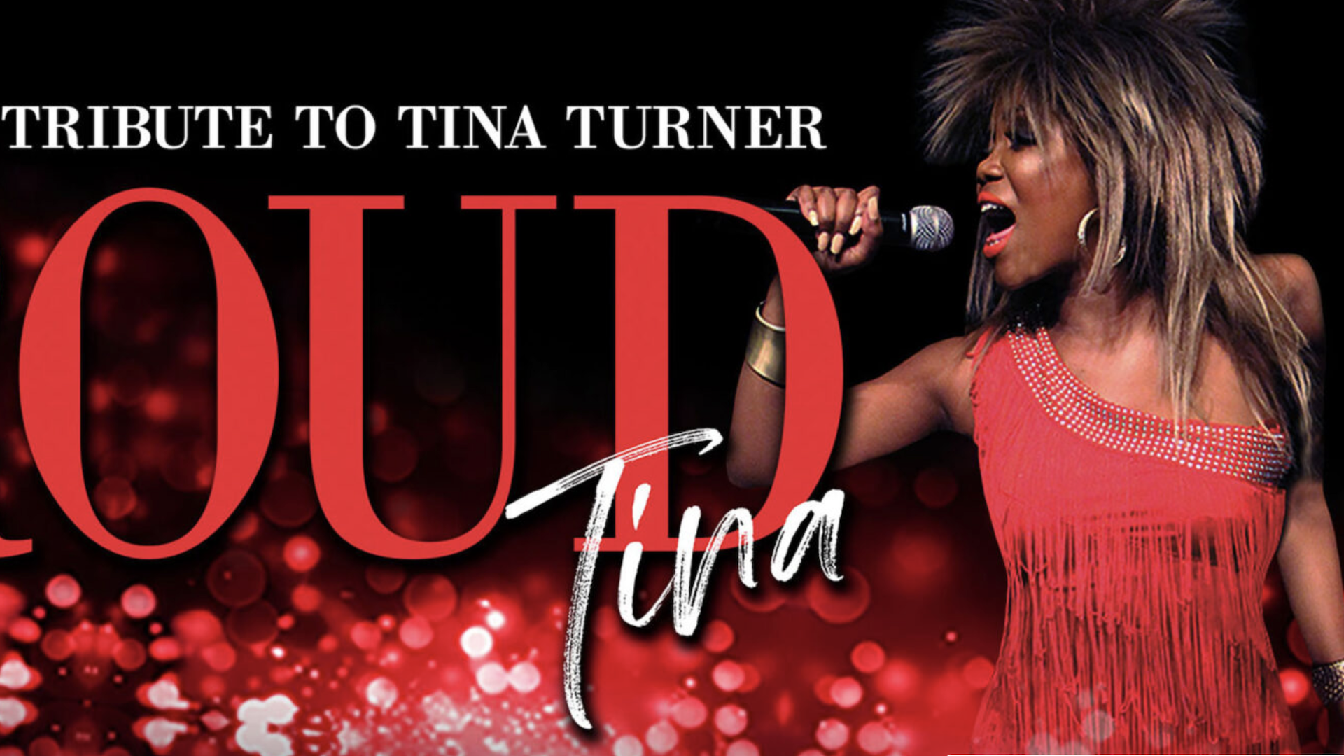 Screenshot 2026-02-17 at 9.03.35 PM